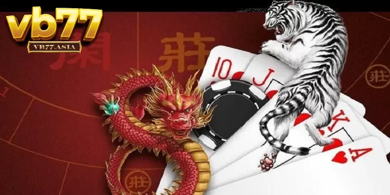 Mới chơi Dragon Tiger đừng cược quá lớn